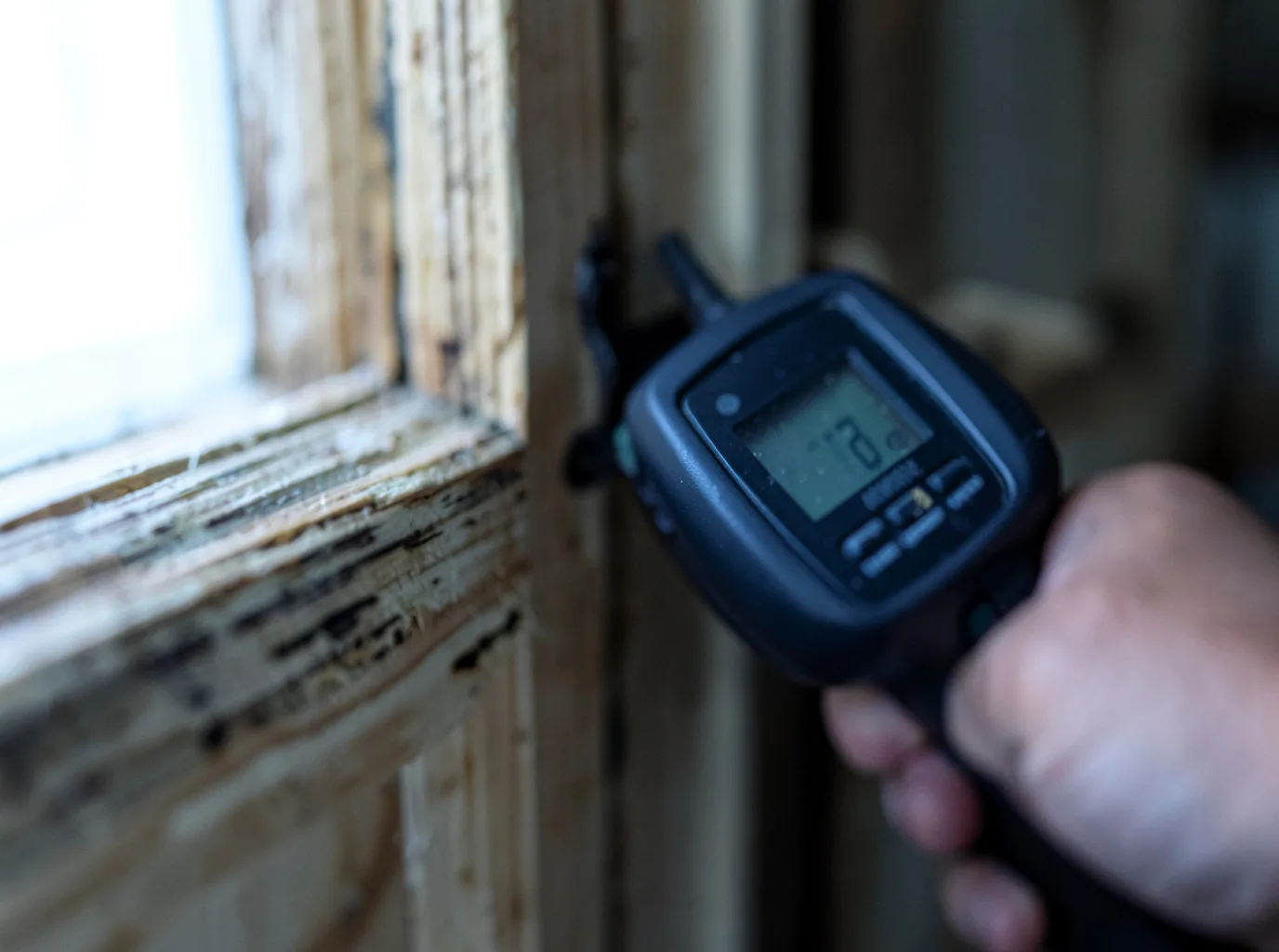 Moisture Inspection And Documentation in Puposky, MN